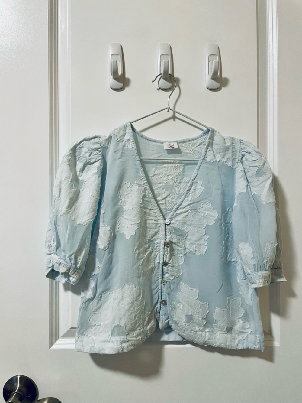 Wilfred Light Blue Floral Embroidered Button-Front crop top